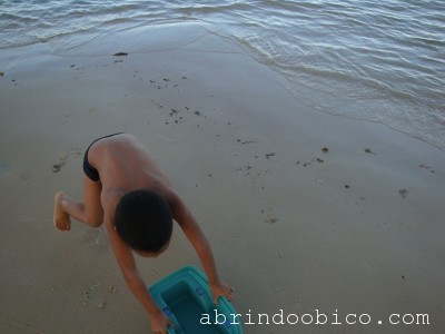 Trancoso,Merel