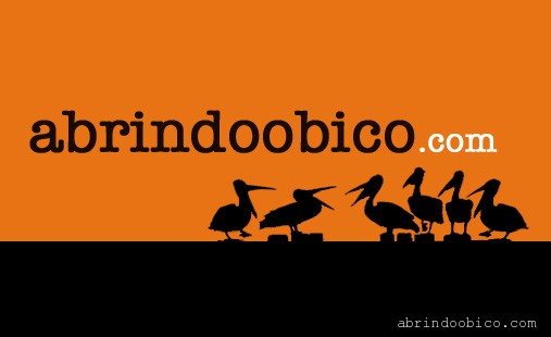(c) Abrindoobico.com