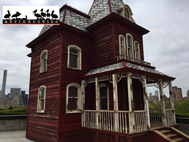 Hitchcock no roof do Met Museum. Abrindo o Bico por Marcie Grynblat